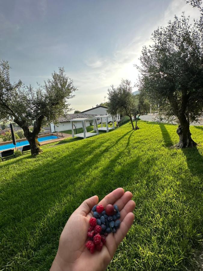 Agriturismo Maison 1933 Caprino Veronese Zewnętrze zdjęcie